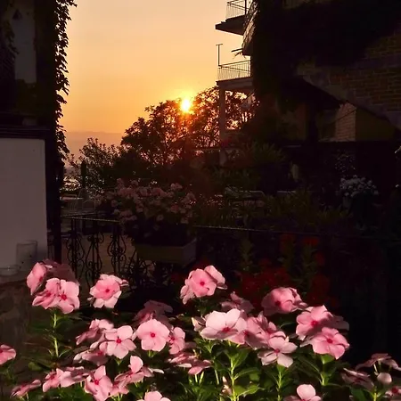 Marco Hotel Antalia